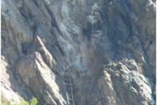 Disturbance in Egyptian vulture's nest in FYR of Macedonia