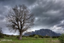 Ζώνη Ειδικής Προστασίας Όρους Τύμφη (φωτ. Ορνιθολογική/ Τ. Μπούνας)