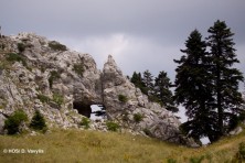 H Ζώνη Ειδικής Προστασίας Κορυφών Όρους Κόζιακα (φωτ: Ορνιθολογική/ Δ. Βαβύλης