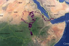 4. Iliaz‘s wintering grounds – winter 2016 – 2017