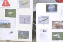 Οι πίνακες ενημέρωσης που αναρτήθηκαν σε κεντρικά σημεία της πόλης