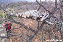 Τοποθέτηση ξύλινης πλατφόρμας για την παροχή συμπληρωματικής τροφής στη Βουλγαρία