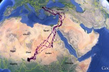 7. The wintering grounds and the migration road of Jenny (2015 – 2018)
