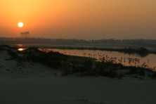 Al Wathba Lake reserve (photo: S.Nikolov)