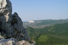Η Ζώνη Ειδικής Προστασίας της πεδιάδας του Kamchiiska (φωτ.:D. Dobrev)