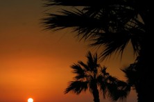 Abu Dhabi (photo: S. Nikolov)