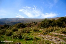 Η Ζώνη Ειδικής Προστασίας ορέων Παραμυθιάς, Καλαμά και χαράδρας Αχέρωντα (Ορνιθολογική/ Ν. Μπούκας)