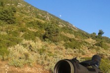 Egyptian Vulture territories survey in Epirus, Greece
