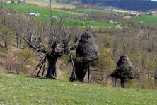 Η Ζώνη Ειδικής Προστασίας Ορεινού Έβρου - Κοιλάδα Δερείου (φωτ.: WWF/G. Mercier)
