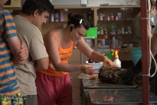 Professional veterinary help by Green Balkans in Wildlife Rehabilitation Centre