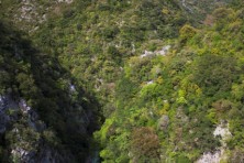 Άποψη των Στενών του Αχέροντα -Ζώνη Ειδικής Προστασίας Ορέων Παραμυθιάς, Στενών Καλαμά και Στενών Αχέροντα- (φωτ.  Ορνιθολογική/ Τ. Δημαλέξης)