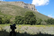 Egyptian Vulture territories survey in Epirus, Greece