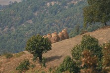 Η Ζώνη Ειδικής Προστασίας της Κοιλάδας Φιλιουρή (φωτ: WWF/B. Carcamo)