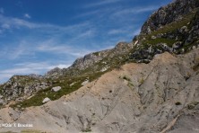 Η Ζώνη Ειδικής Προστασίας ορέων Παραμυθιάς, Καλαμά και χαράδρας Αχέρωντα (Ορνιθολογική/ Τ. Μπούνας)