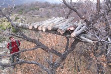 Πλατφόρμα για την παροχή συμπληρωματικής τροφής στους Ασπροπάρηδες