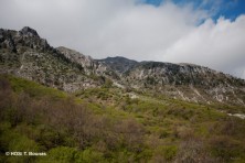 Ζώνη Ειδικής Προστασίας Όρους Μιτσικέλι (φωτ.: Ορνιθολογική/ Τ. Μπούνας)