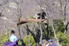 Πλατφόρμες για την παροχή συμπληρωματικής τροφής σε ζευγάρια Ασπροπάρη στην Ελλάδα (φωτ.: WWF) 