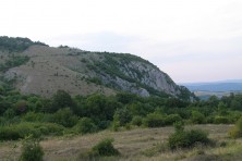 Η Ζώνη Ειδικής Προστασίας της πεδιάδας του Kotlenska (φωτ.:D. Dobrev)