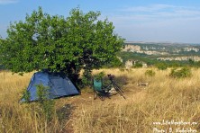 Φύλαξη φωλιάς Ασπροπάρη στη Βουλγαρία - 2012