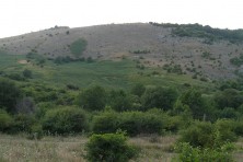 Η Ζώνη Ειδικής Προστασίας της πεδιάδας του Kotlenska (φωτ.:D. Dobrev)