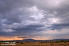 Η Ζώνη Ειδικής Προστασίας του Sakar (φωτ.: S. Spasov)
