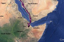 6. The wintering grounds and part of the migration road of Boris (2015 – 2018)