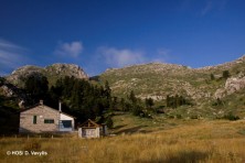 Ζώνη Ειδικής Προστασίας Κορυφών Όρους Κόζιακα (φωτ.: Ορνιθολογική/ Δ. Βαβύλης)