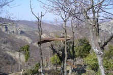 Πλατφόρμα που έχει τοποθετηθεί για την παροχή συμπληρωματικής τροφής