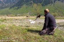 Trapping Aoos in Epirus, Greece