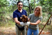 Representatives of Forest Service and Dadia Management Park Agency in the cage where the bird is hosted.