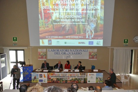 The return of the Neophron - ANTIDOTO congress in Italy