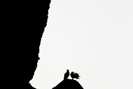 Photo: D. Vavylis