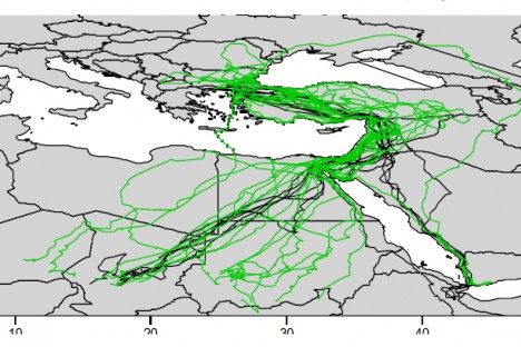 The tracks of 14 Egyptian vultures from the Balkans tagged with satellite transmitters in the period 2010-2016.