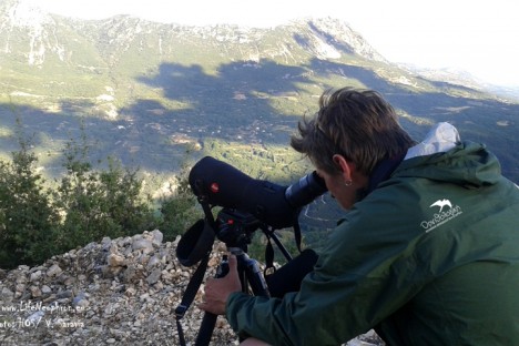 Egyptian Vulture territories survey in Epirus, Greece