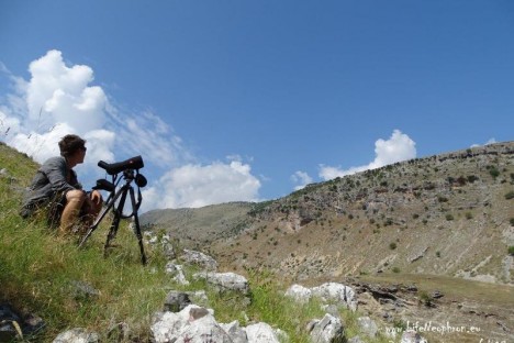 HOS team in search for Egyptian Vulture territories in Albania