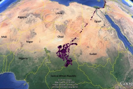 1. Iliaz‘s wintering grounds - between 2012 and 2014