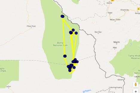 Iliaz in Boma National Park - a relatively save and reach of resources area to settle during winter.