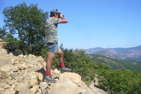 The guard of Egyptian vulture nest in NE Greece/WWF