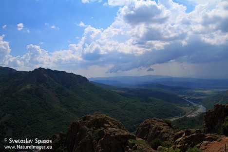 Most Arda Special Protection Area, Photo: Svetoslav Spasov, www.NatureImages.eu