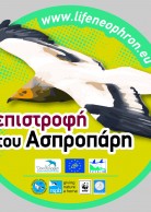 Sticker for Greece (2016 edition)