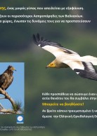 Local Awareness Poster for Greece (2013) - HOS version