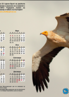 Calendar 2015