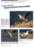 Mobile exhibiton with photos from the photo competition The Egyptian Vultures Odyssey
