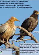 Local Awareness Poster for Greece (2012) - WWF version, for Thrace