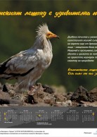 Calendar for 2013