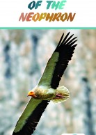 Project Leaflet in English (for Greece)
