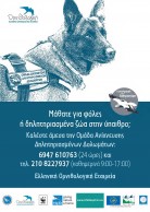 Antipoison Poster for Greece (HOS/BirdLife Greece Team)_2015