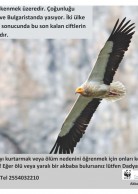 Local Awareness Poster in Turkish (2012)