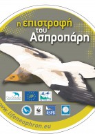 Sticker in Greek