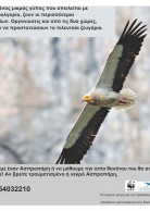 Local Awareness Poster for Greece (2013) - for Thrace